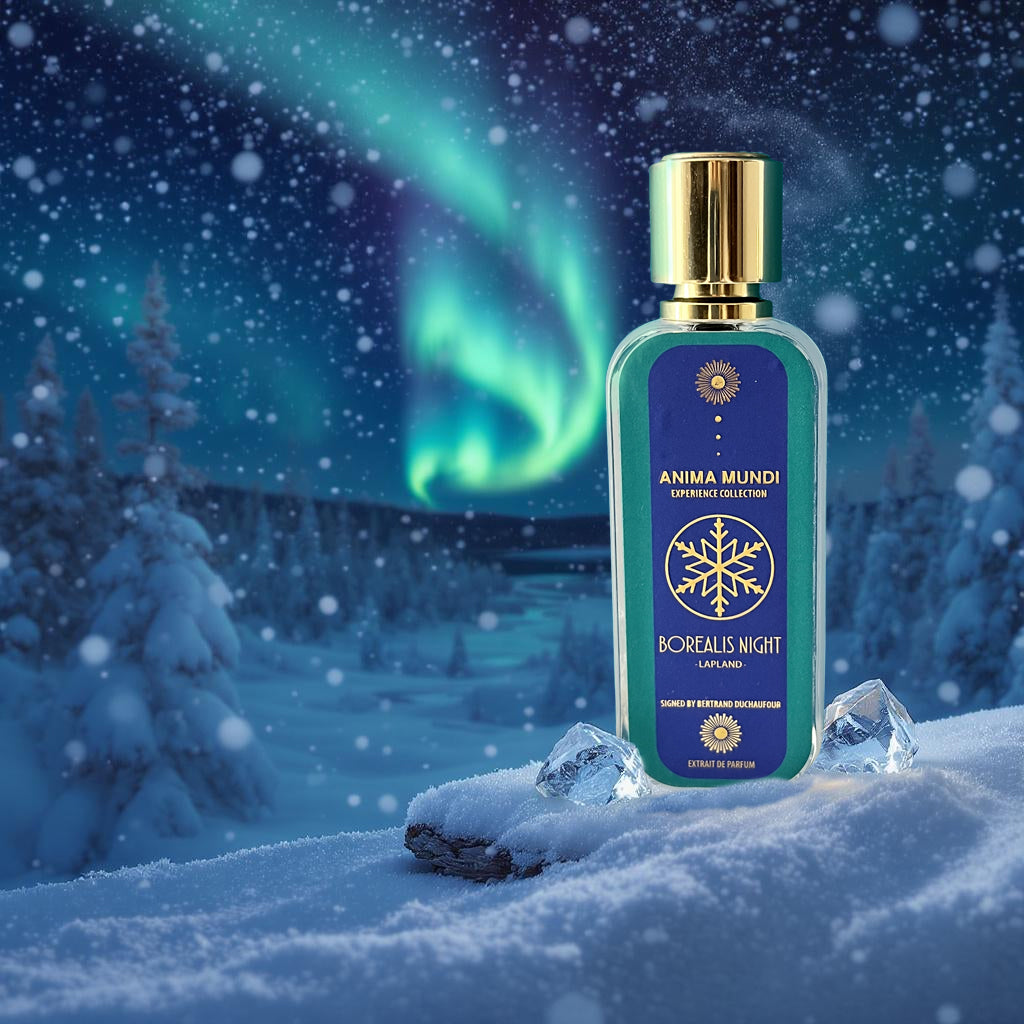 Anima Mundi - Borealis Night