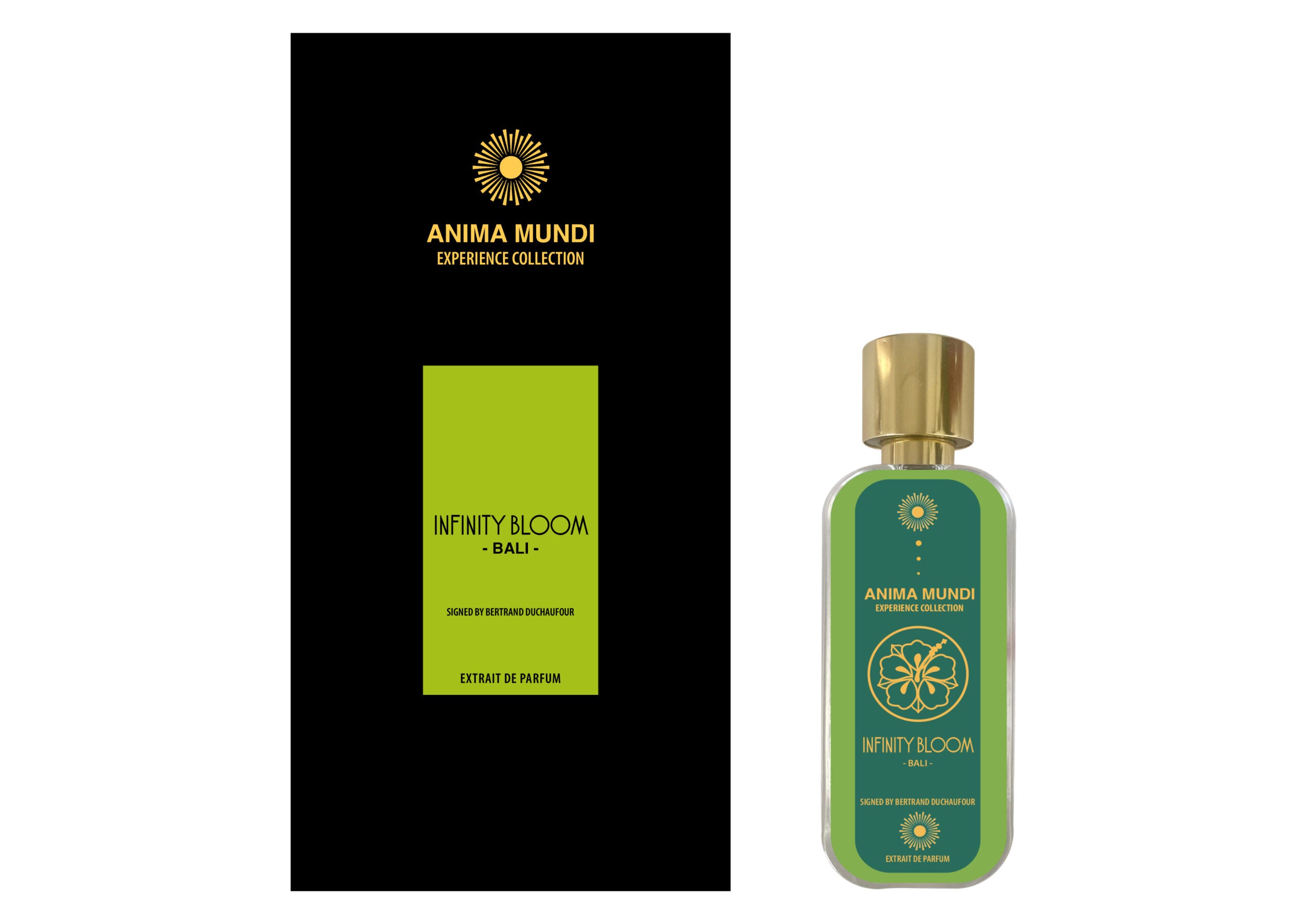 Anima Mundi - Infinity Bloom